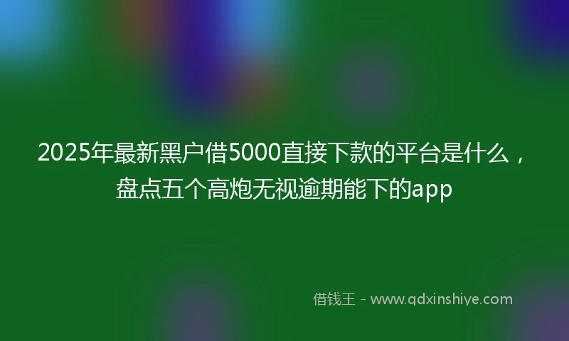 2025年最新黑户借5000直接下款的平台是什么，盘点五个高炮无视逾期能下的app