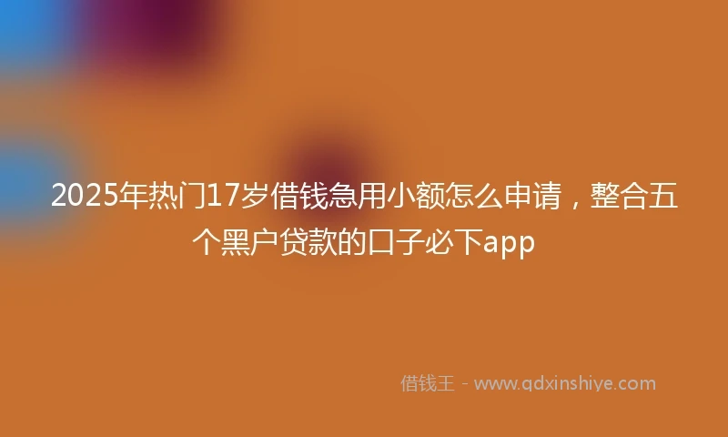 2025年热门17岁借钱急用小额怎么申请，整合五个黑户贷款的口子必下app