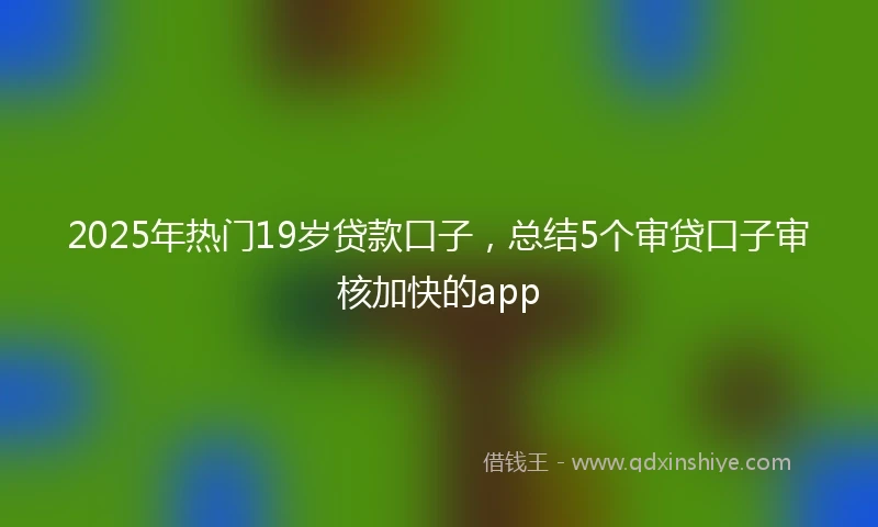 2025年热门19岁贷款口子，总结5个审贷口子审核加快的app