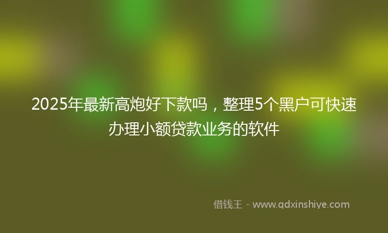 2025年最新高炮好下款吗，整理5个黑户可快速办理小额贷款业务的软件