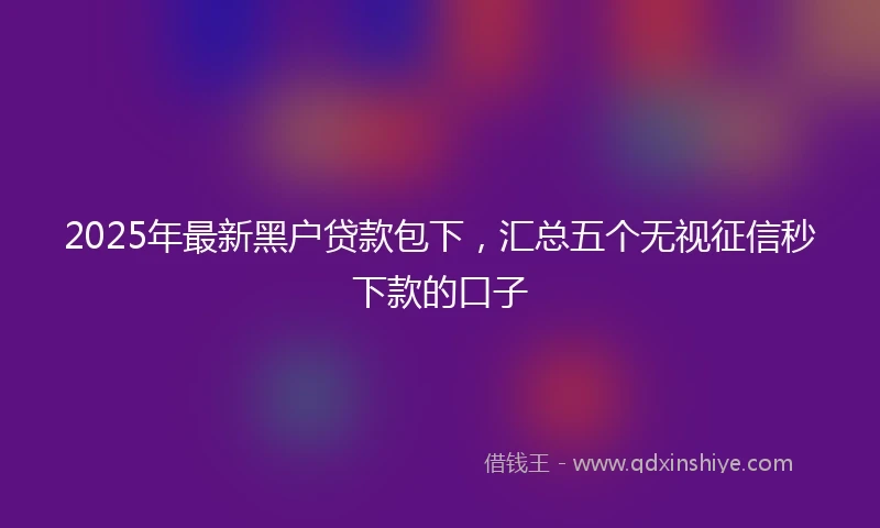 2025年最新黑户贷款包下，汇总五个无视征信秒下款的口子