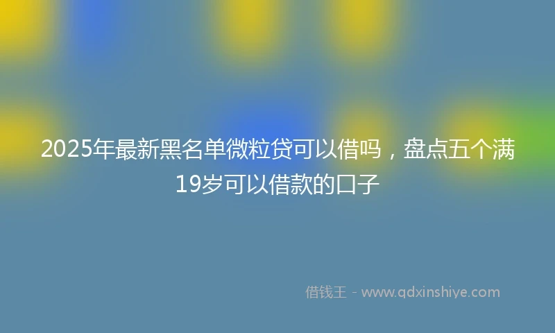 2025年最新黑名单微粒贷可以借吗，盘点五个满19岁可以借款的口子
