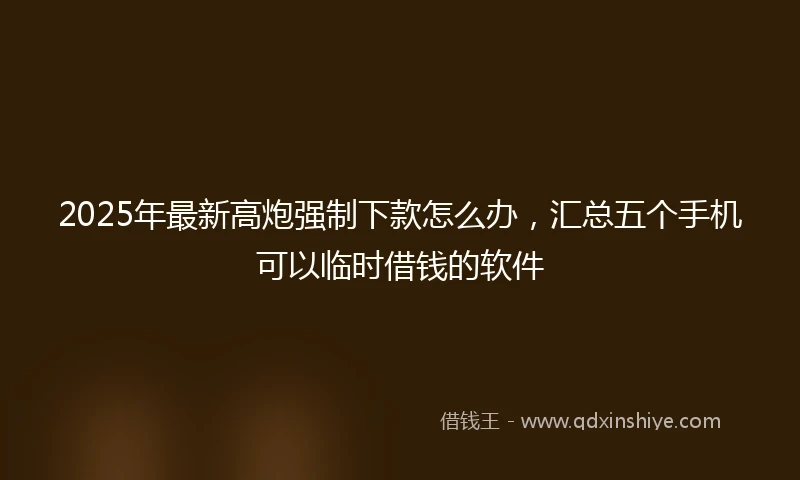 2025年最新高炮强制下款怎么办，汇总五个手机可以临时借钱的软件