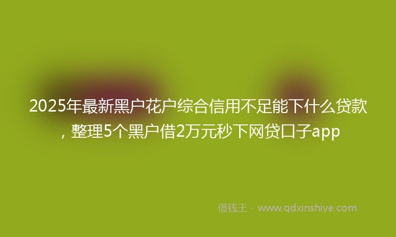 2025年最新黑户花户综合信用不足能下什么贷款，整理5个黑户借2万元秒下网贷口子app