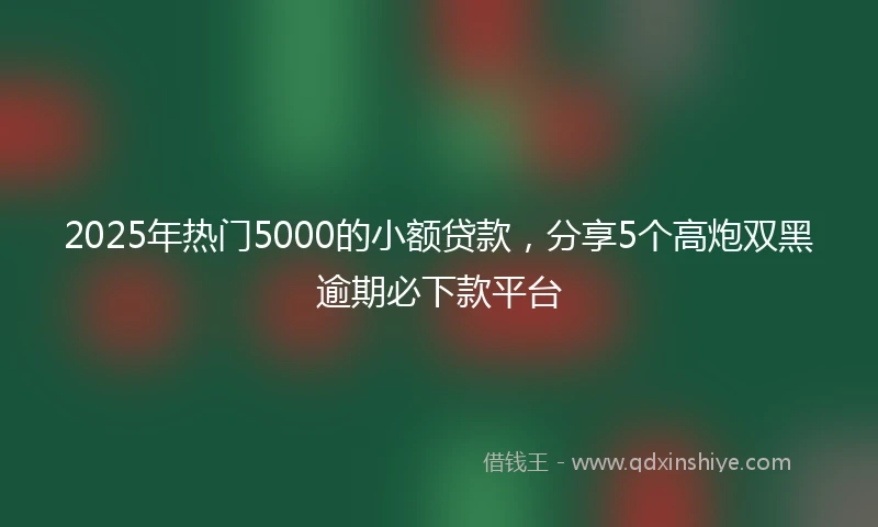 2025年热门5000的小额贷款，分享5个高炮双黑逾期必下款平台