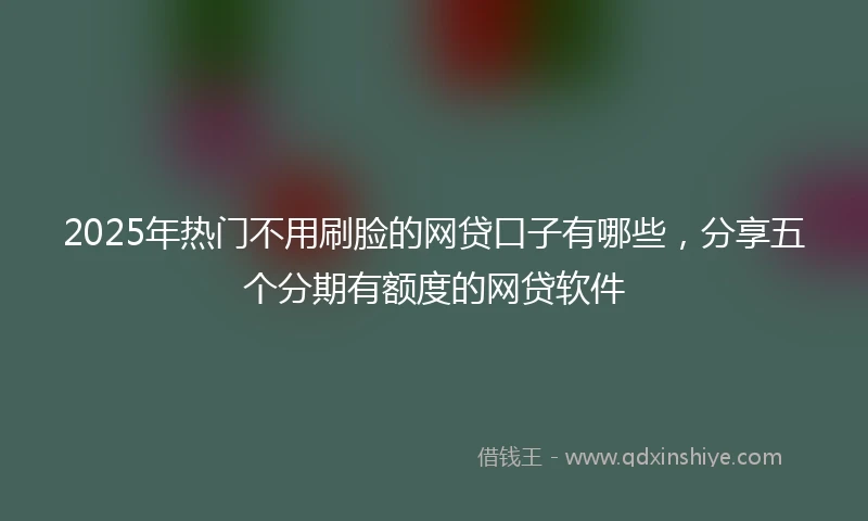 2025年热门不用刷脸的网贷口子有哪些，分享五个分期有额度的网贷软件