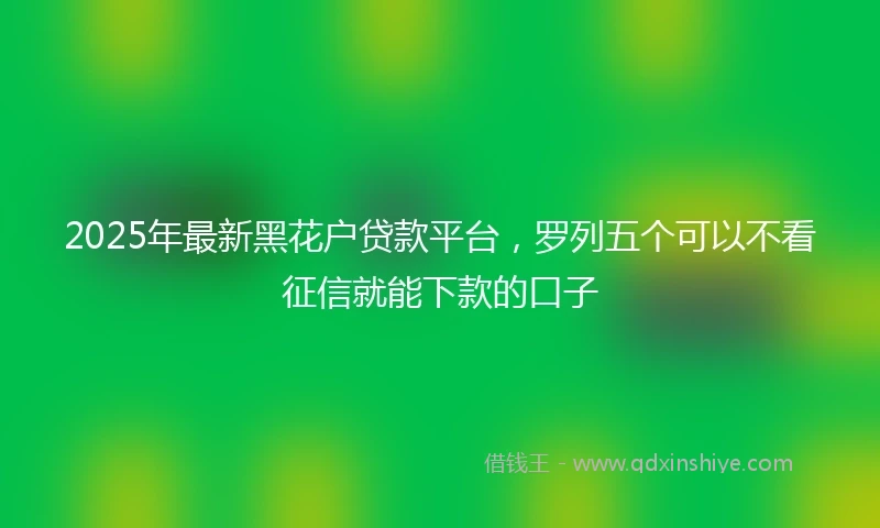2025年最新黑花户贷款平台，罗列五个可以不看征信就能下款的口子