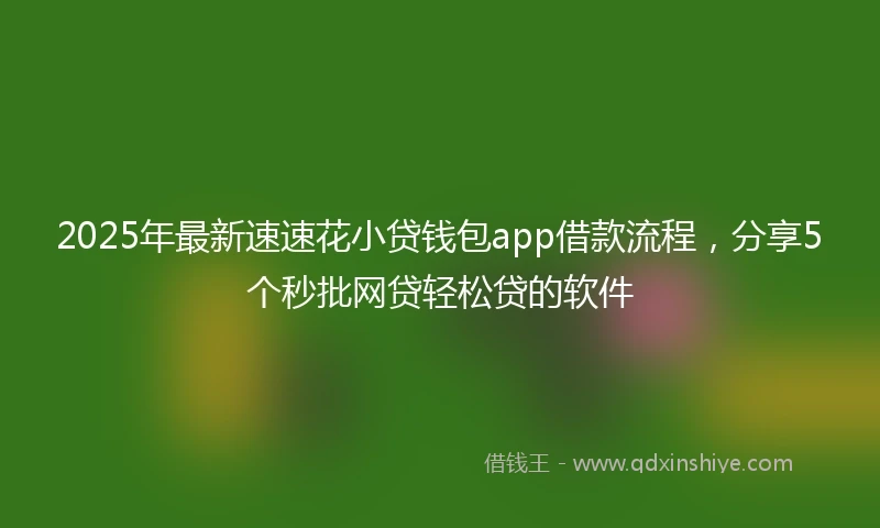 2025年最新速速花小贷钱包app借款流程，分享5个秒批网贷轻松贷的软件