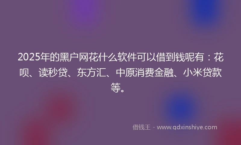 2025年的黑户网花什么软件可以借到钱呢有：花呗、读秒贷、东方汇、中原消费金融、小米贷款等。