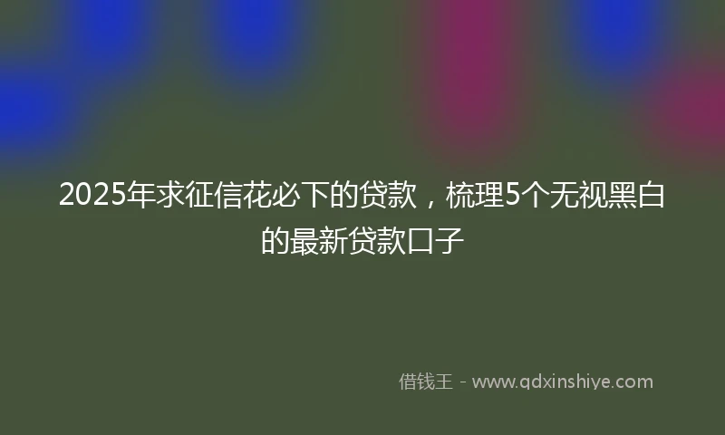 2025年求征信花必下的贷款，梳理5个无视黑白的最新贷款口子