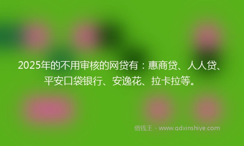 2025年的不用审核的网贷有:惠商贷、人人贷、平安口袋银行、安逸花、拉卡拉等。