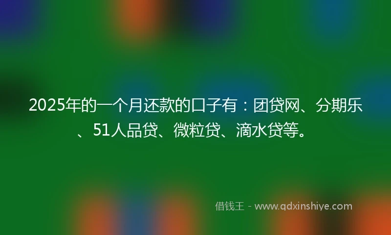 2025年的一个月还款的口子有：团贷网、分期乐、51人品贷、微粒贷、滴水贷等。