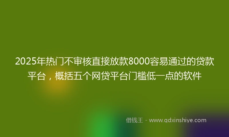 2025年热门不审核直接放款8000容易通过的贷款平台，概括五个网贷平台门槛低一点的软件