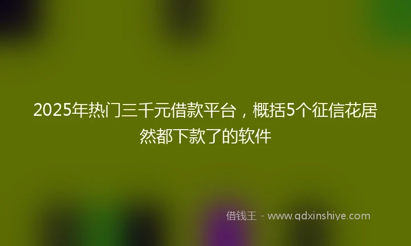 2025年热门三千元借款平台，概括5个征信花居然都下款了的软件