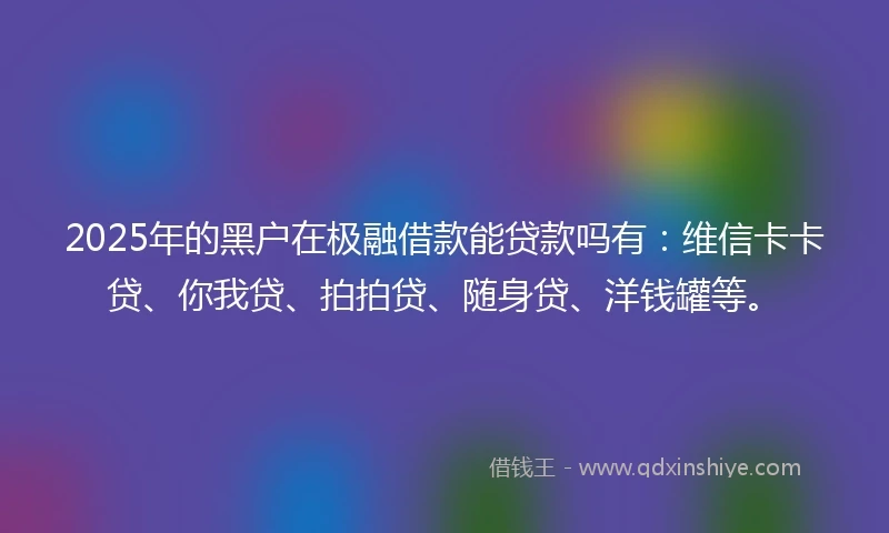 2025年的黑户在极融借款能贷款吗有：维信卡卡贷、你我贷、拍拍贷、随身贷、洋钱罐等。