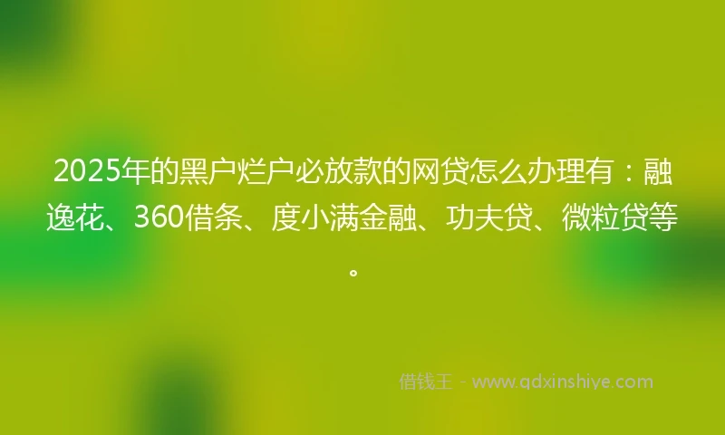 2025年的黑户烂户必放款的网贷怎么办理有：融逸花、360借条、度小满金融、功夫贷、微粒贷等。