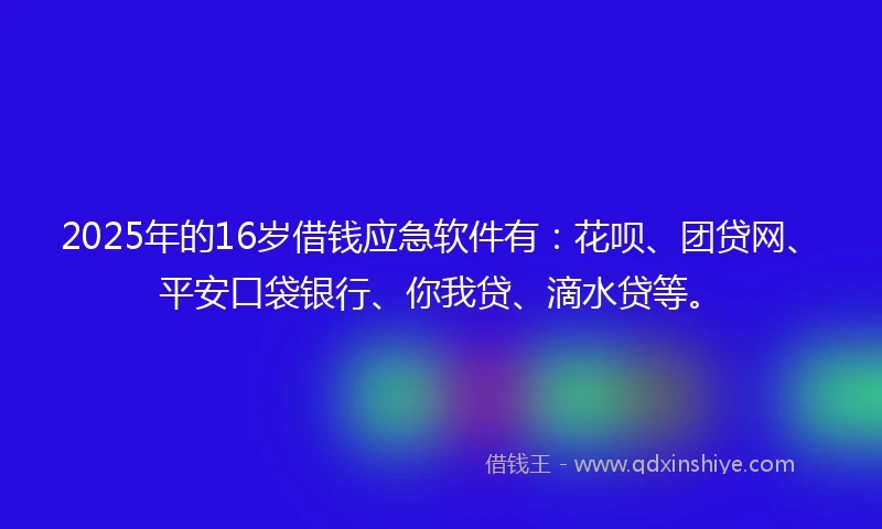 2025年的16岁借钱应急软件有：花呗、团贷网、平安口袋银行、你我贷、滴水贷等。