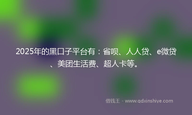 2025年的黑口子平台有：省呗、人人贷、e微贷、美团生活费、超人卡等。