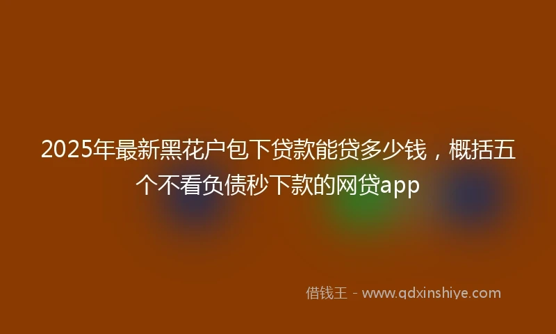2025年最新黑花户包下贷款能贷多少钱，概括五个不看负债秒下款的网贷app