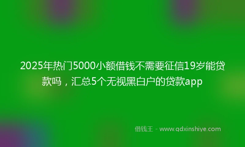 2025年热门5000小额借钱不需要征信19岁能贷款吗，汇总5个无视黑白户的贷款app
