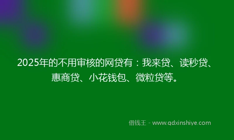 2025年的不用审核的网贷有：我来贷、读秒贷、惠商贷、小花钱包、微粒贷等。