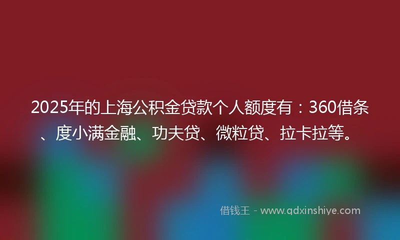 2025年的上海公积金贷款个人额度有：360借条、度小满金融、功夫贷、微粒贷、拉卡拉等。