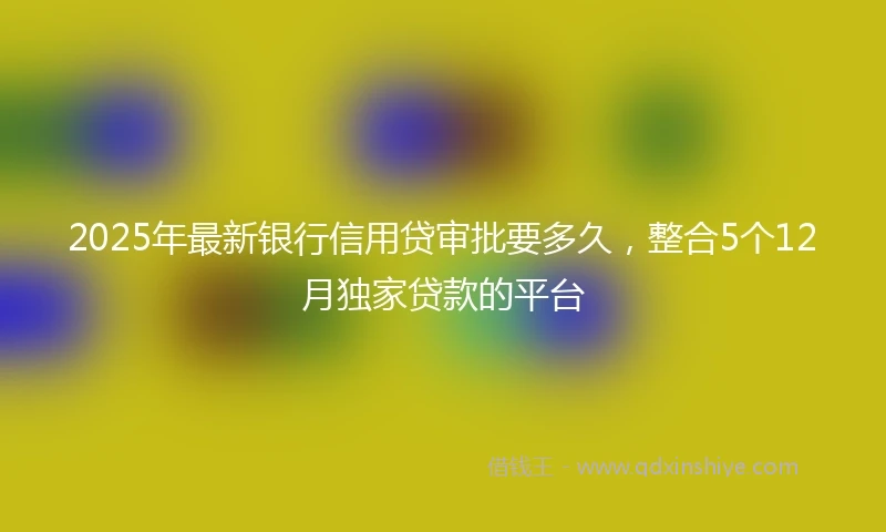 2025年最新银行信用贷审批要多久，整合5个12月独家贷款的平台