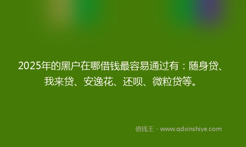 2025年的黑户在哪借钱最容易通过有：随身贷、我来贷、安逸花、还呗、微粒贷等。