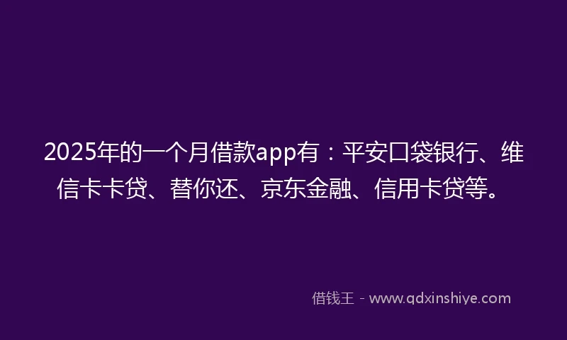 2025年的一个月借款app有：平安口袋银行、维信卡卡贷、替你还、京东金融、信用卡贷等。
