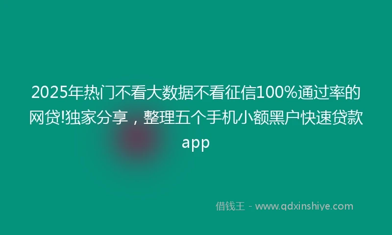 2025年热门不看大数据不看征信100%通过率的网贷!独家分享，整理五个手机小额黑户快速贷款app