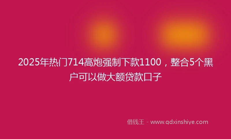 2025年热门714高炮强制下款1100,整合5个黑户可以做大额贷款口子