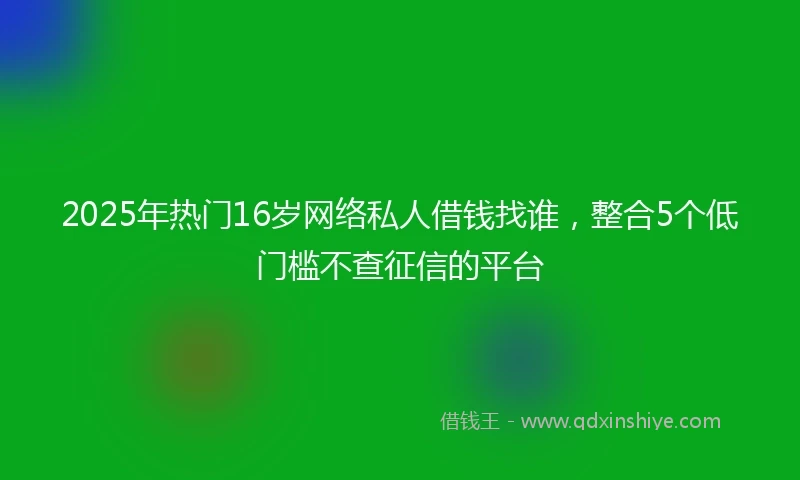 2025年热门16岁网络私人借钱找谁，整合5个低门槛不查征信的平台