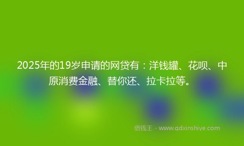 2025年的19岁申请的网贷有：洋钱罐、花呗、中原消费金融、替你还、拉卡拉等。