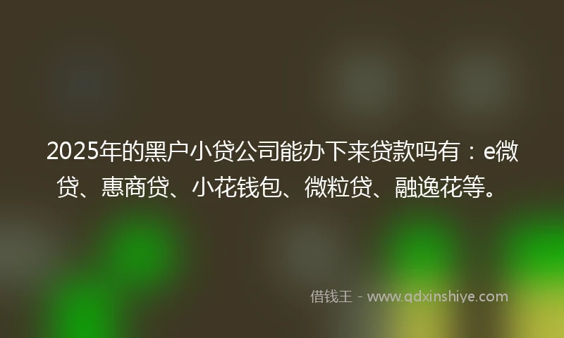 2025年的黑户小贷公司能办下来贷款吗有：e微贷、惠商贷、小花钱包、微粒贷、融逸花等。