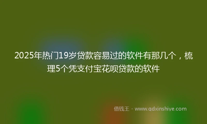 2025年热门19岁贷款容易过的软件有那几个，梳理5个凭支付宝花呗贷款的软件