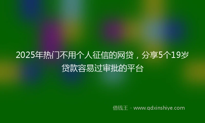 2025年热门不用个人征信的网贷，分享5个19岁贷款容易过审批的平台