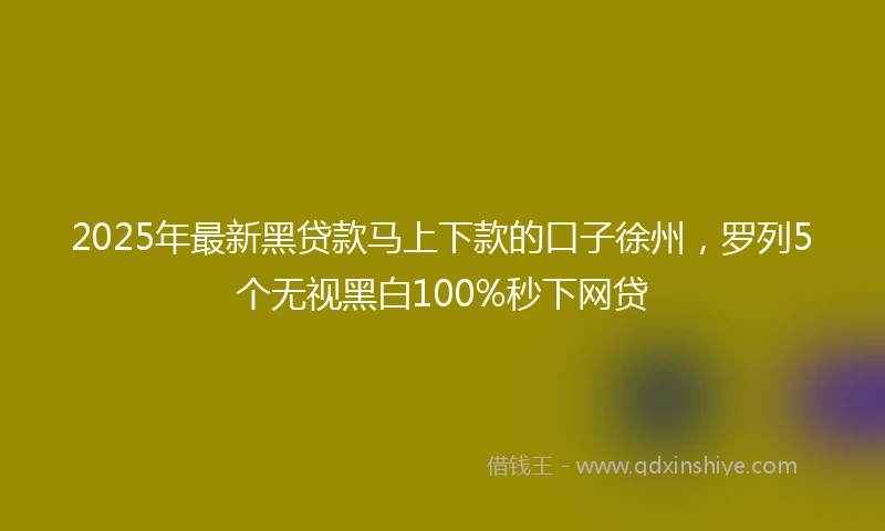 2025年最新黑贷款马上下款的口子徐州，罗列5个无视黑白100%秒下网贷