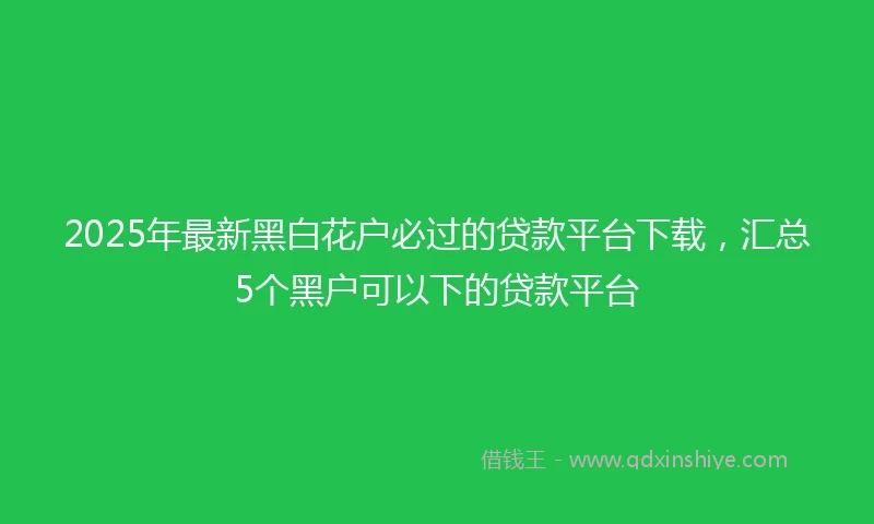 2025年最新黑白花户必过的贷款平台下载，汇总5个黑户可以下的贷款平台