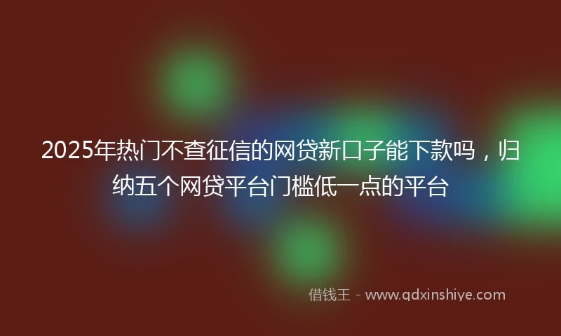 2025年热门不查征信的网贷新口子能下款吗，归纳五个网贷平台门槛低一点的平台