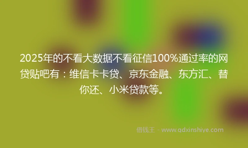 2025年的不看大数据不看征信100%通过率的网贷贴吧有：维信卡卡贷、京东金融、东方汇、替你还、小米贷款等。