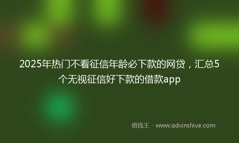 2025年热门不看征信年龄必下款的网贷，汇总5个无视征信好下款的借款app