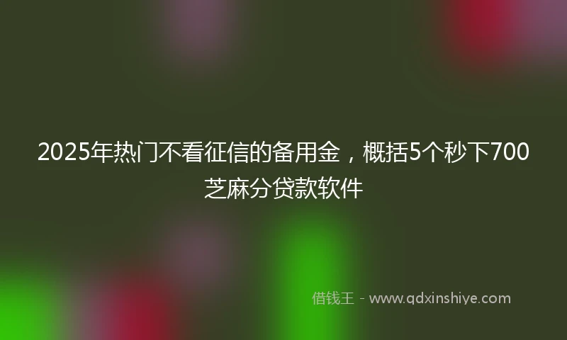 2025年热门不看征信的备用金，概括5个秒下700芝麻分贷款软件