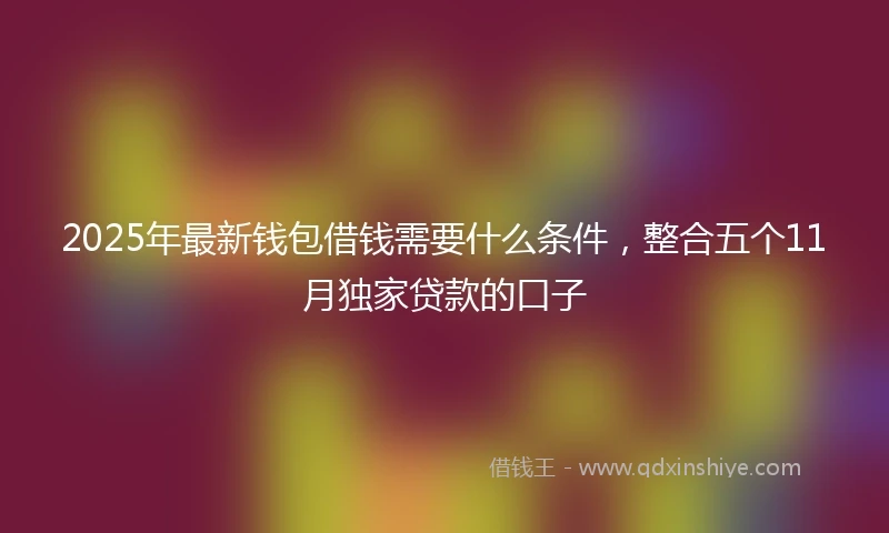 2025年最新钱包借钱需要什么条件，整合五个11月独家贷款的口子