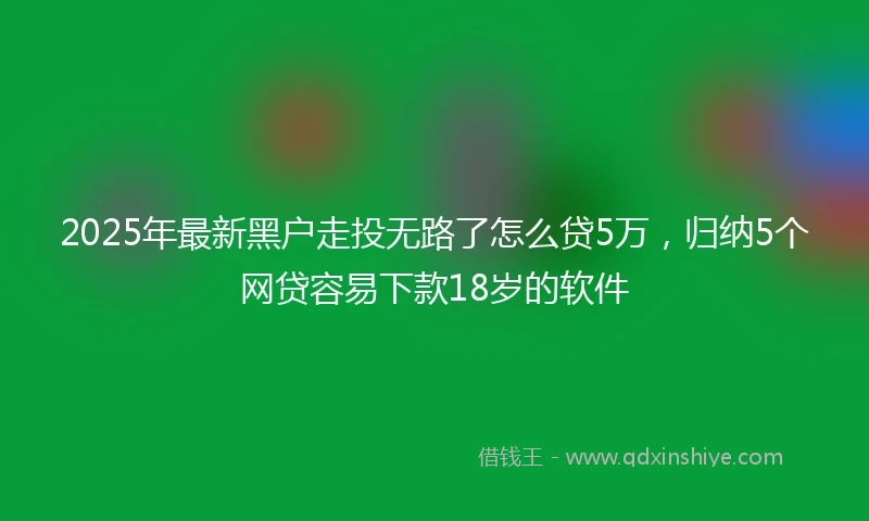 2025年最新黑户走投无路了怎么贷5万，归纳5个网贷容易下款18岁的软件