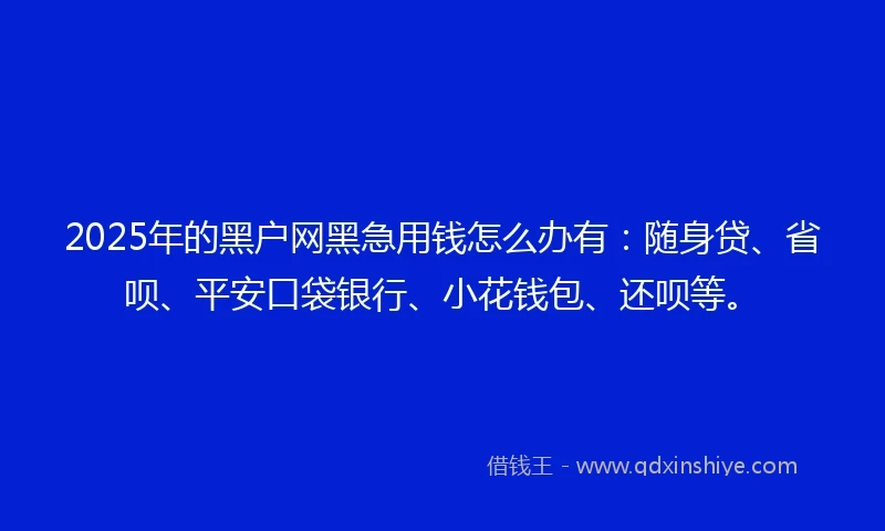 2025年的黑户网黑急用钱怎么办有:随身贷、省呗、平安口袋银行、小花钱包、还呗等。