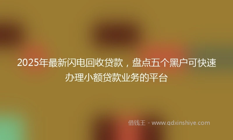 2025年最新闪电回收贷款，盘点五个黑户可快速办理小额贷款业务的平台