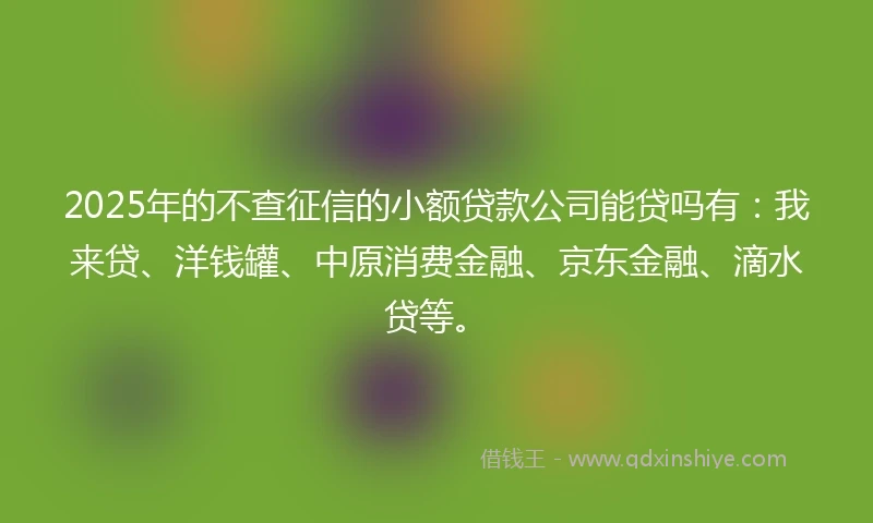 2025年的不查征信的小额贷款公司能贷吗有:我来贷、洋钱罐、中原消费金融、京东金融、滴水贷等。