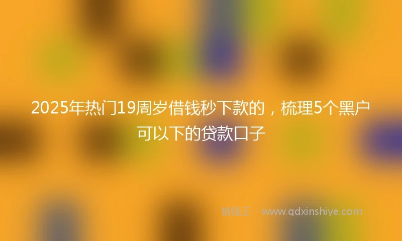 2025年热门19周岁借钱秒下款的，梳理5个黑户可以下的贷款口子