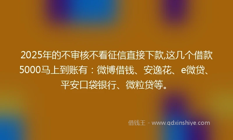 2025年的不审核不看征信直接下款,这几个借款5000马上到账有：微博借钱、安逸花、e微贷、平安口袋银行、微粒贷等。