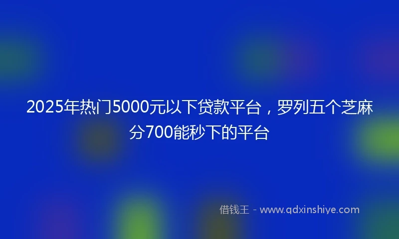 2025年热门5000元以下贷款平台，罗列五个芝麻分700能秒下的平台